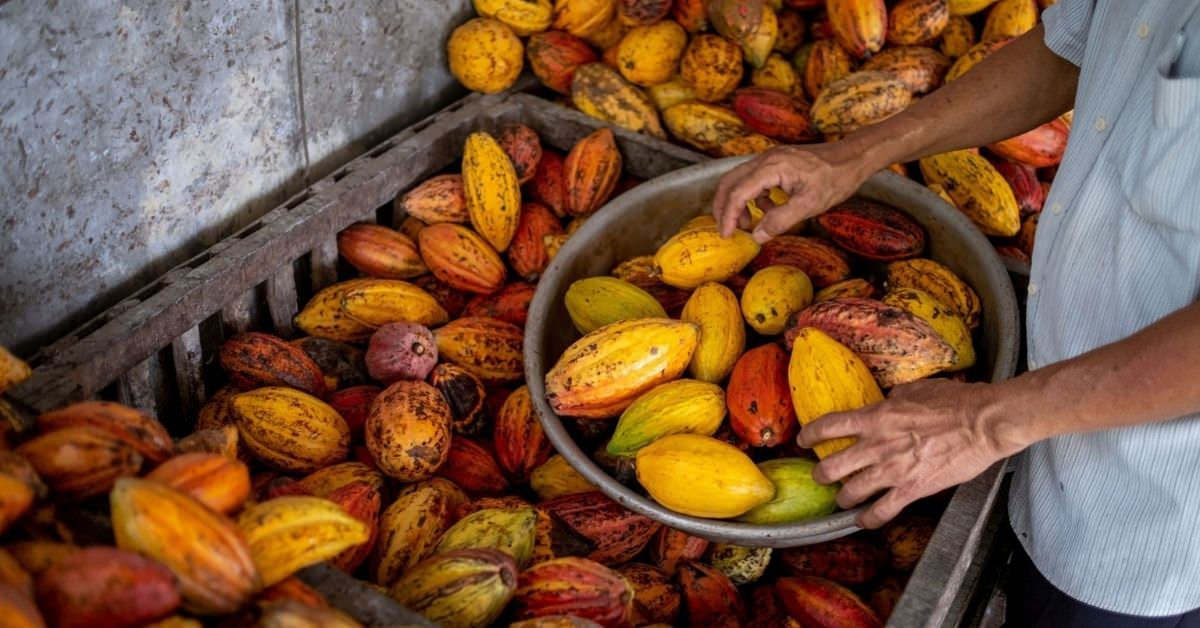 14-Day Highlights of Vietnam - 5