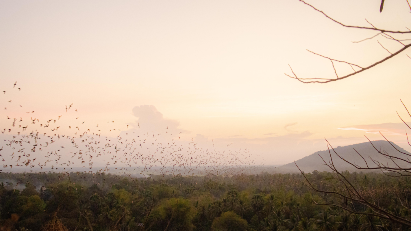 Battambang-–-Battambang-City-highlights