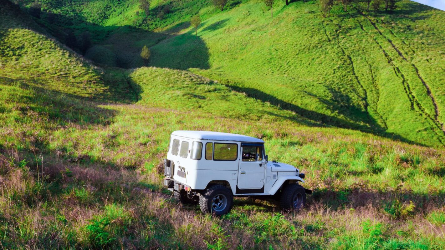 Day-at-the-Farm-Jeep-Tour-in-Terceira