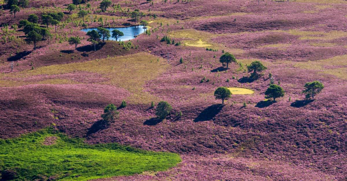 Scotland in The Summer time - 3