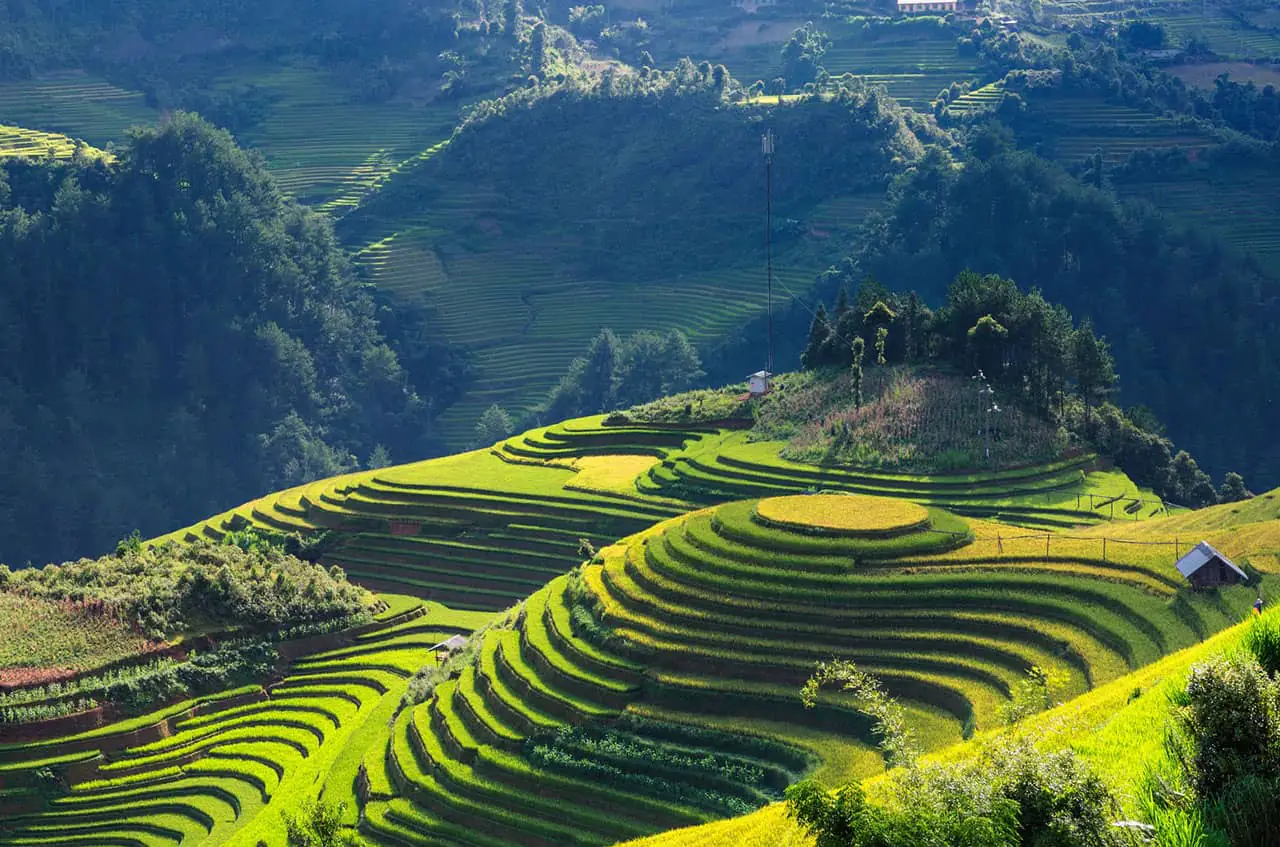 Rice-Terrace-Vietnam-2846777_1280