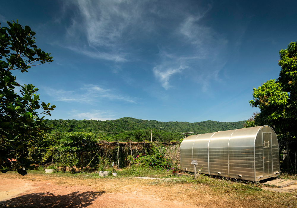 kampot pepper farm (5)