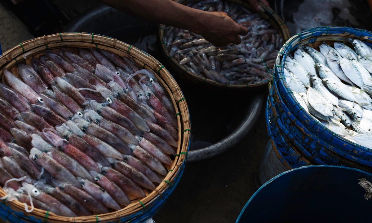 fish market hoi an