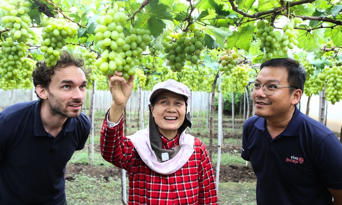 Vivu Journeys wins award