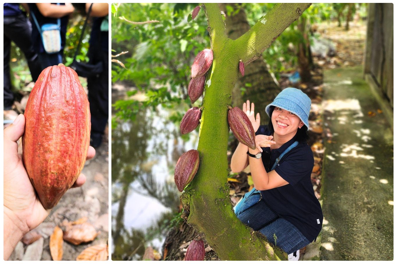 family friendly tour