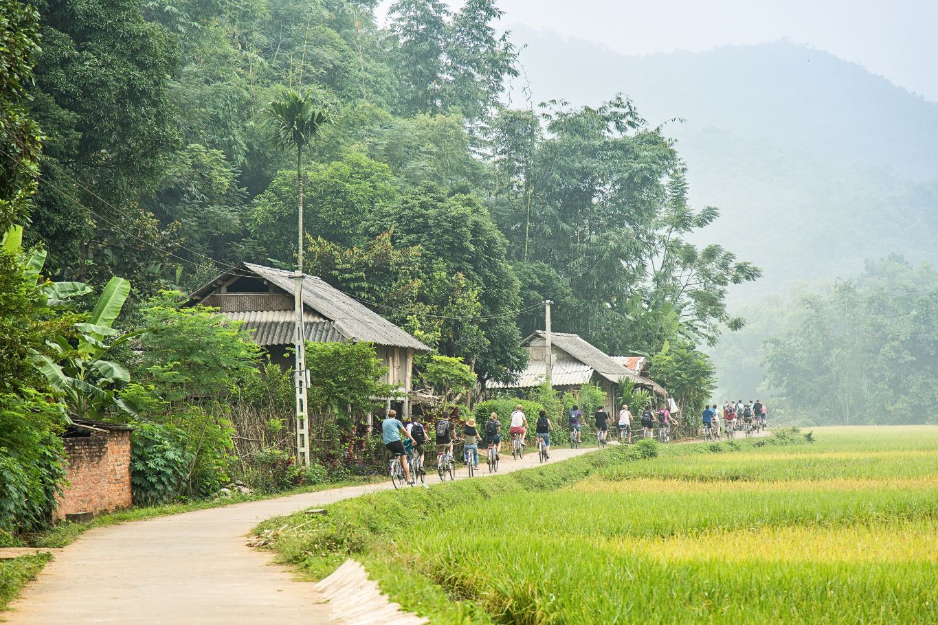 mai chau