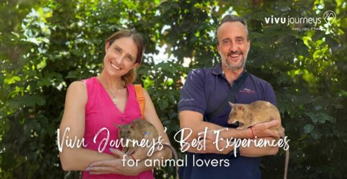 Nature Awaits: Vivu Journeys’ Best Experiences for animal lovers