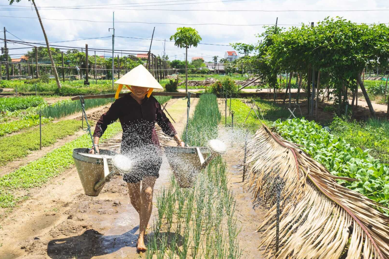 Hoi An lunar new year festival 