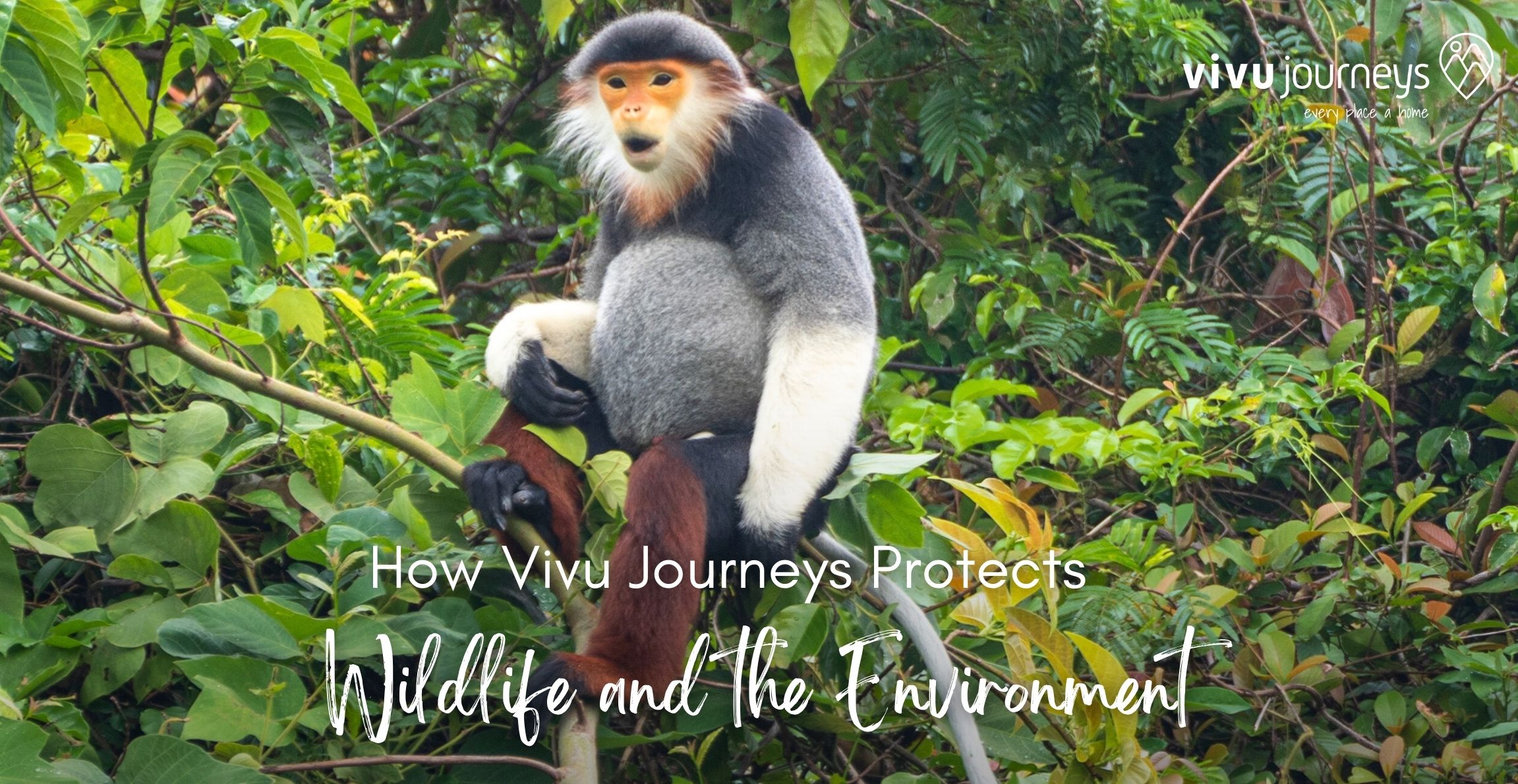 How Vivu Journeys Protects Wildlife and the Environment
