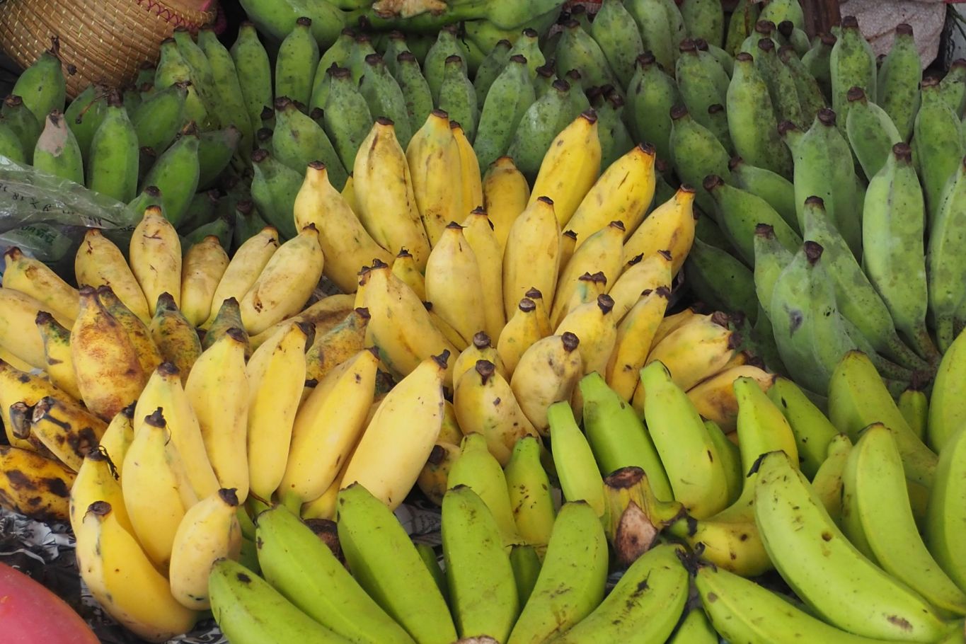 small banana varieties commonly found in Asian markets
