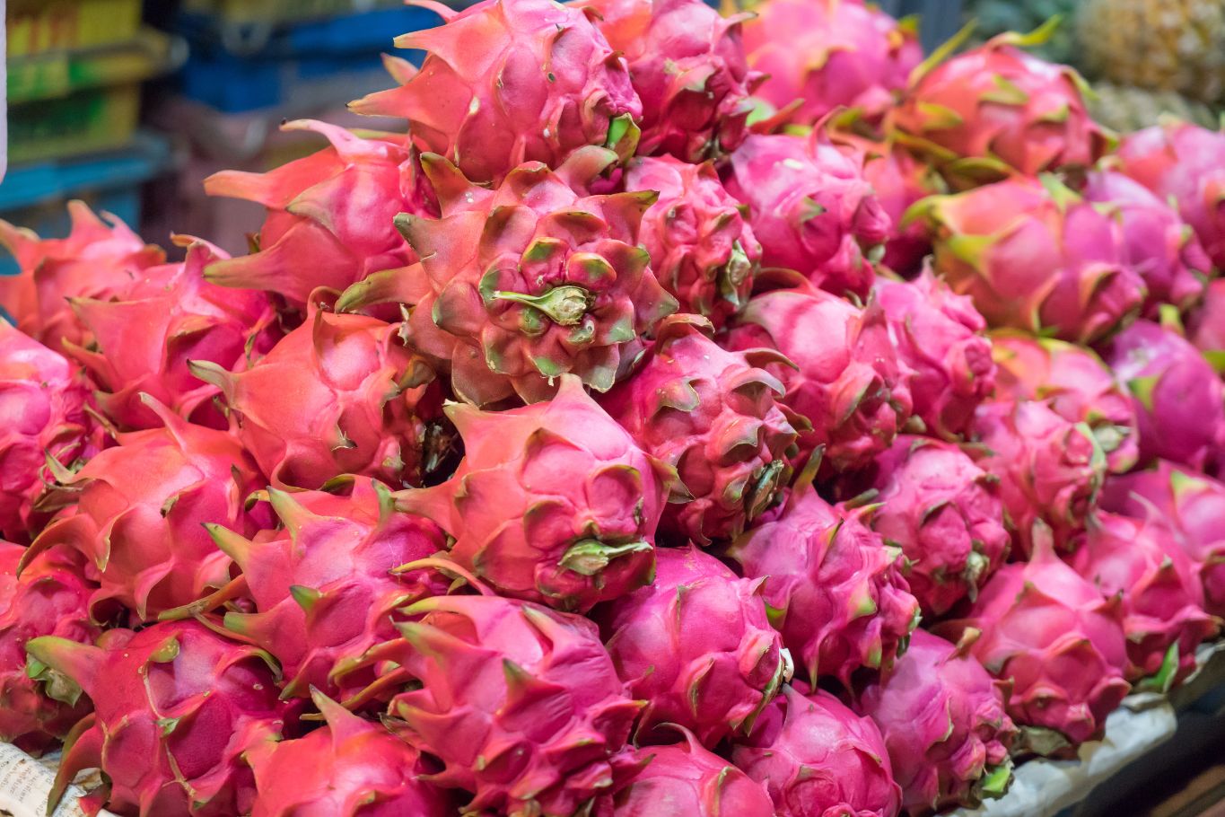 dragon fruit sold at traditional Asian markets