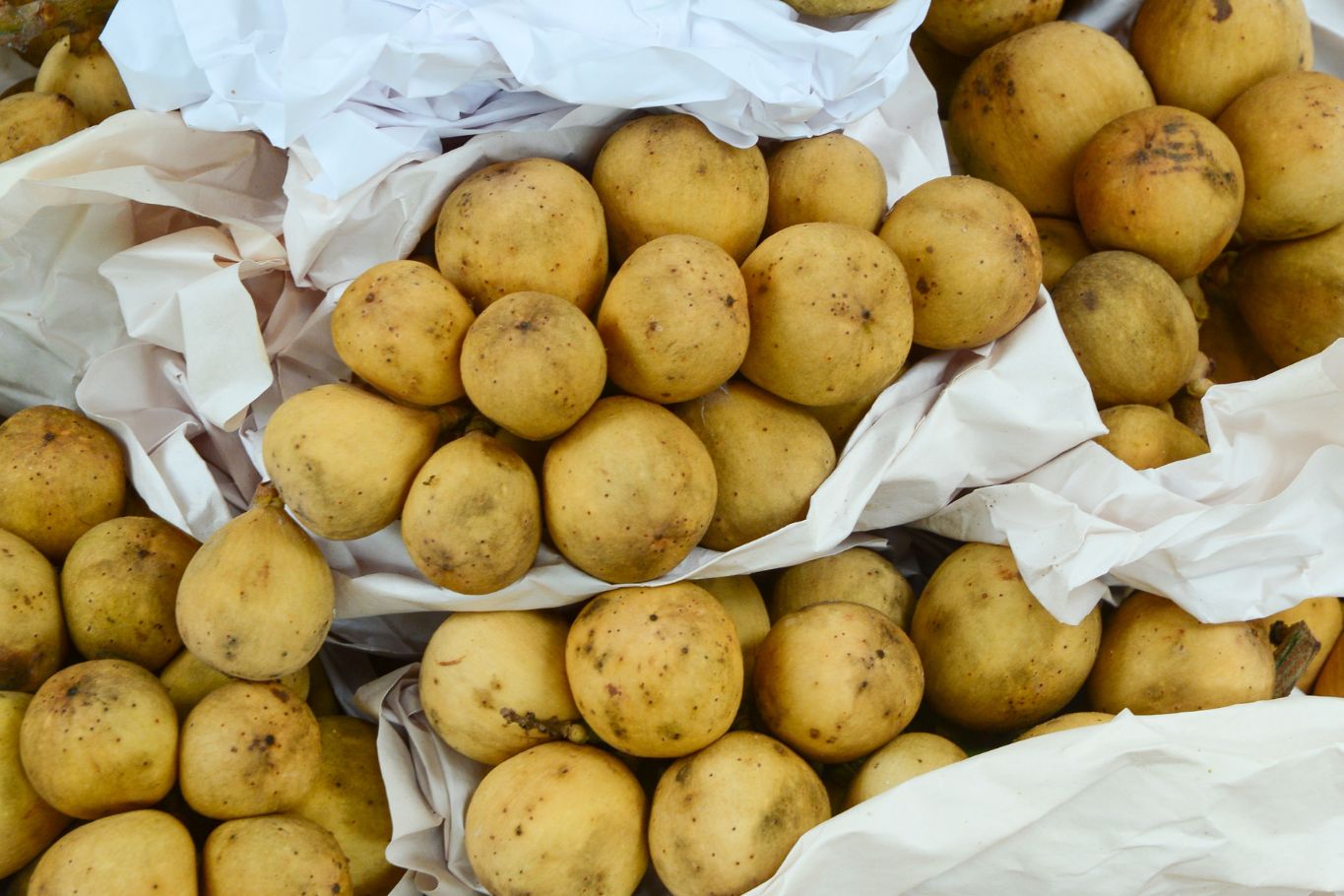 langsat fruit sold at a regional Asian market