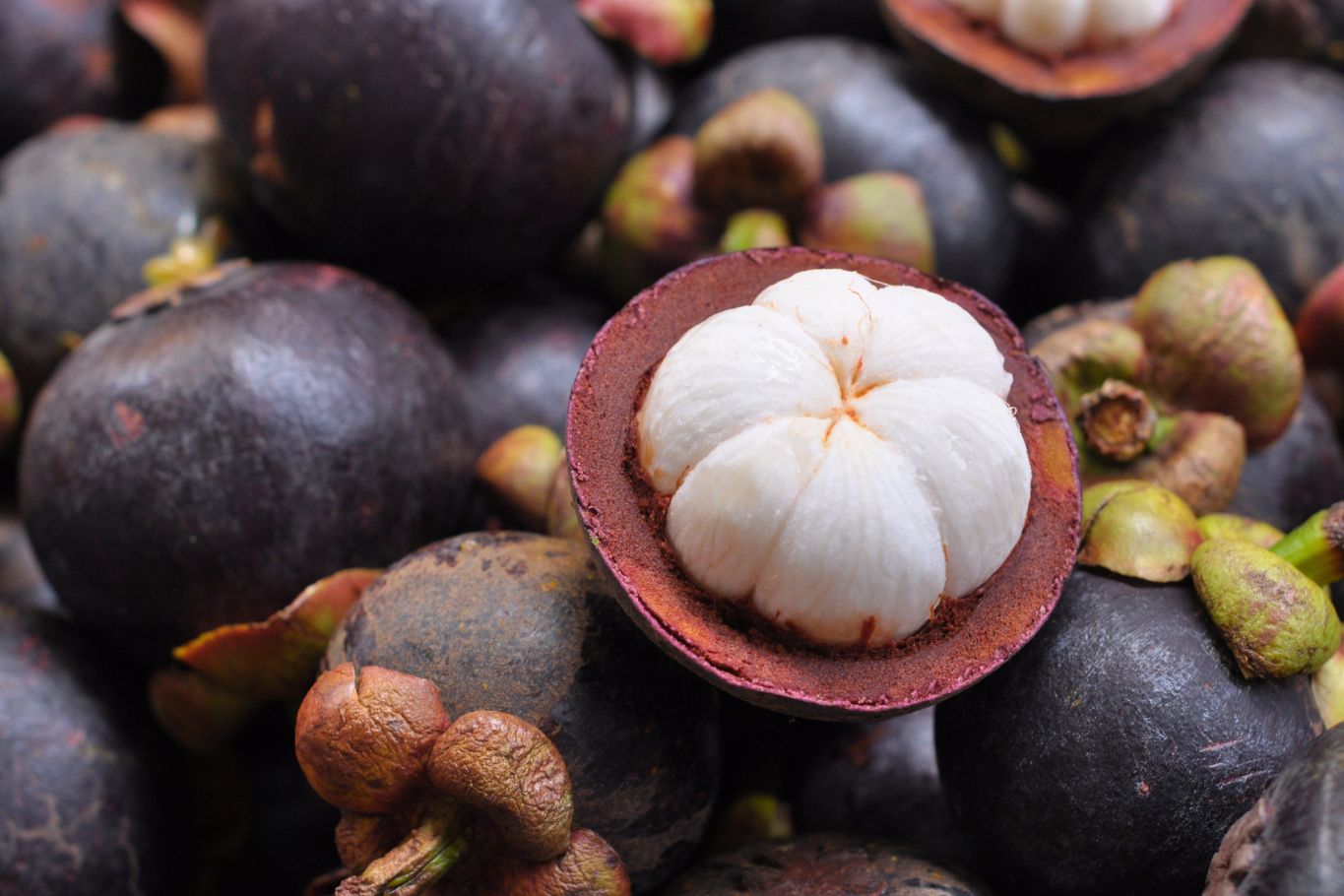 ripe mangosteen fruit in Southeast Asia