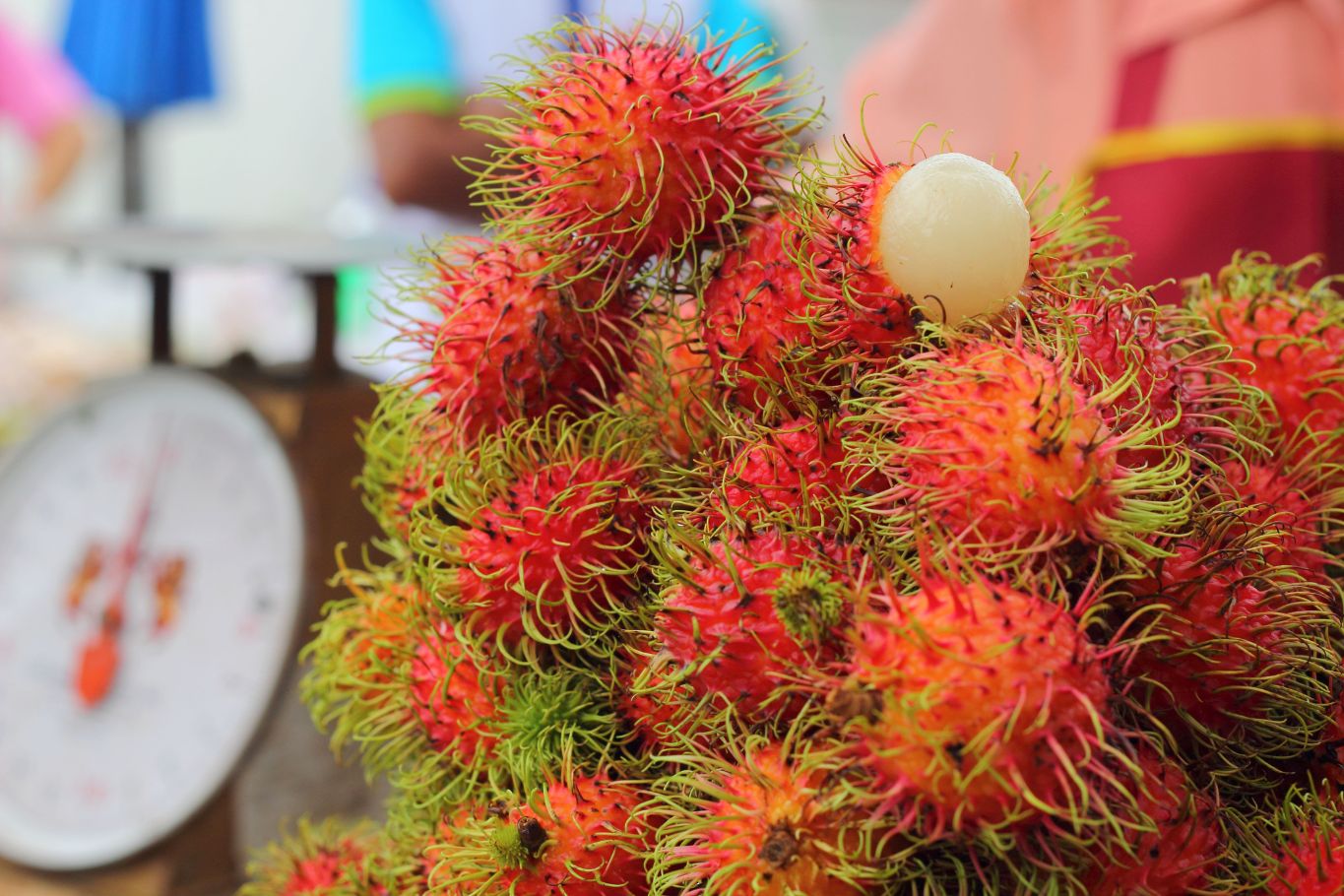 rambutan harvest at a Southeast Asian roadside market
