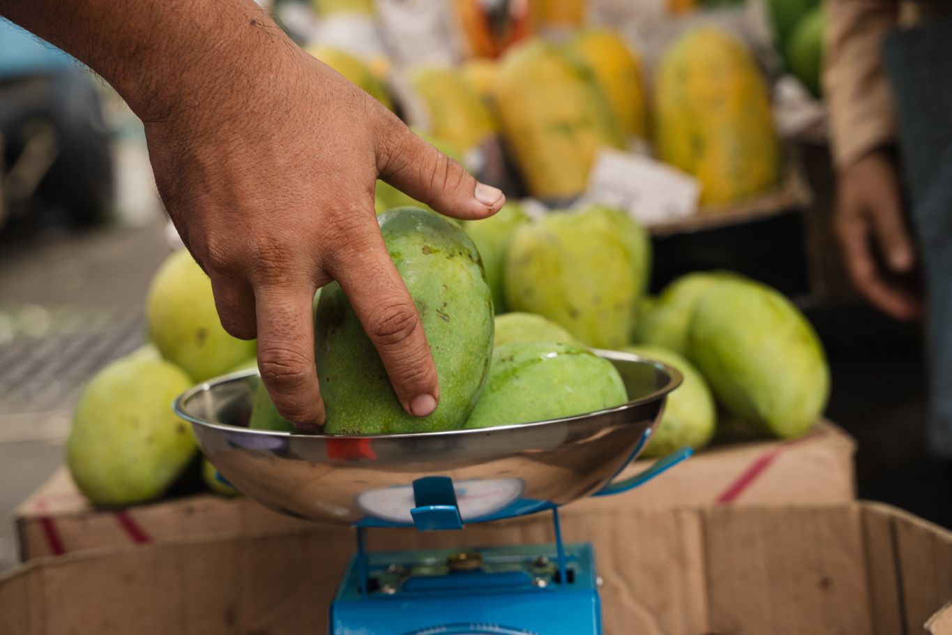 Mango Asian Fruits 