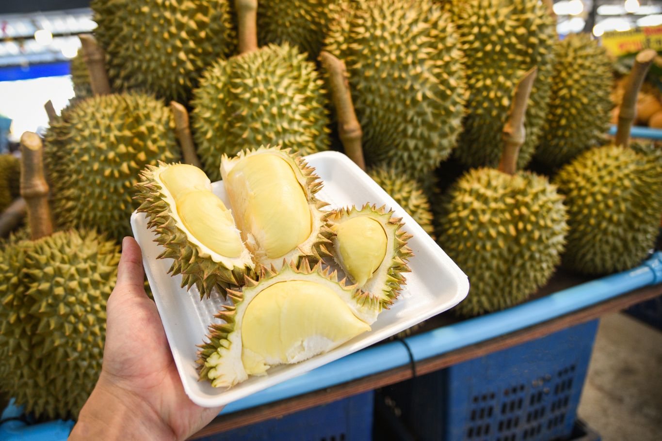 fresh durian opened at a traditional fruit market