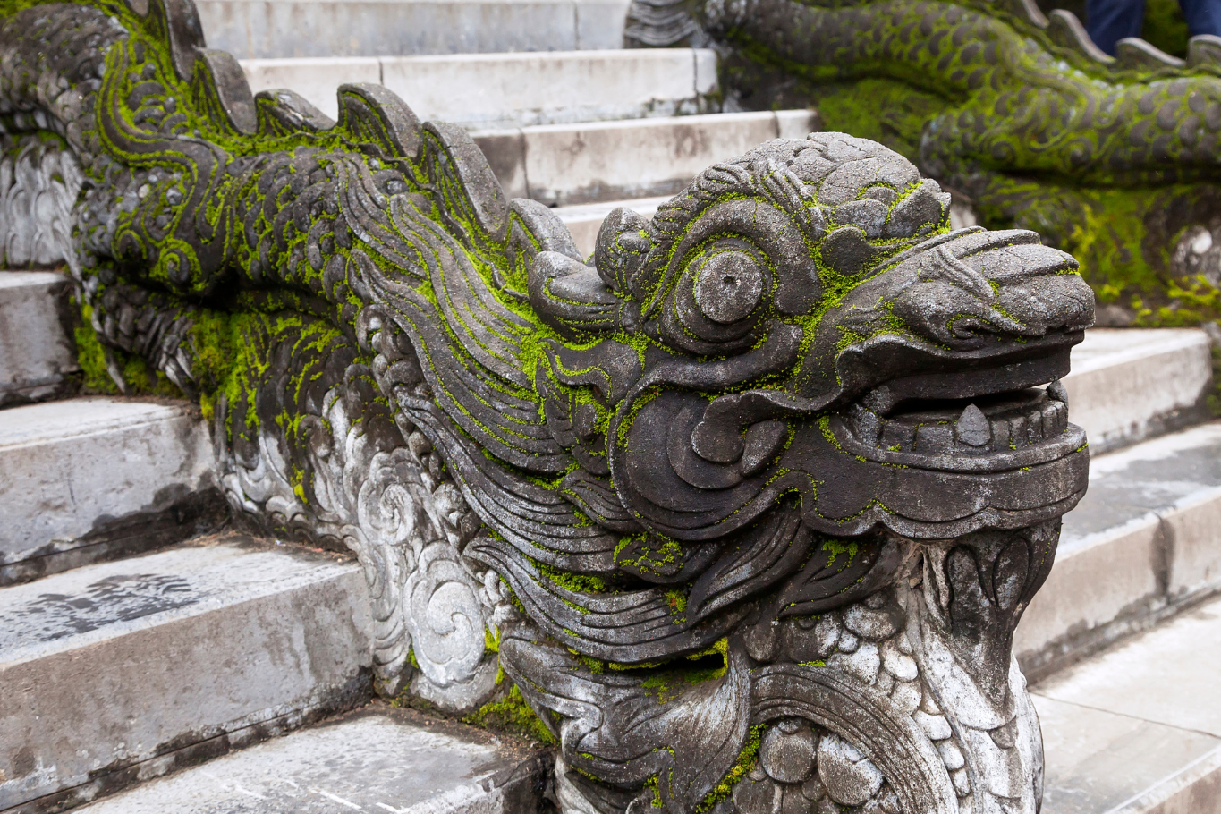 Moss-covered stone dragon sculpture at the Imperial Citadel of Thang Long in Hanoi, Vietnam.