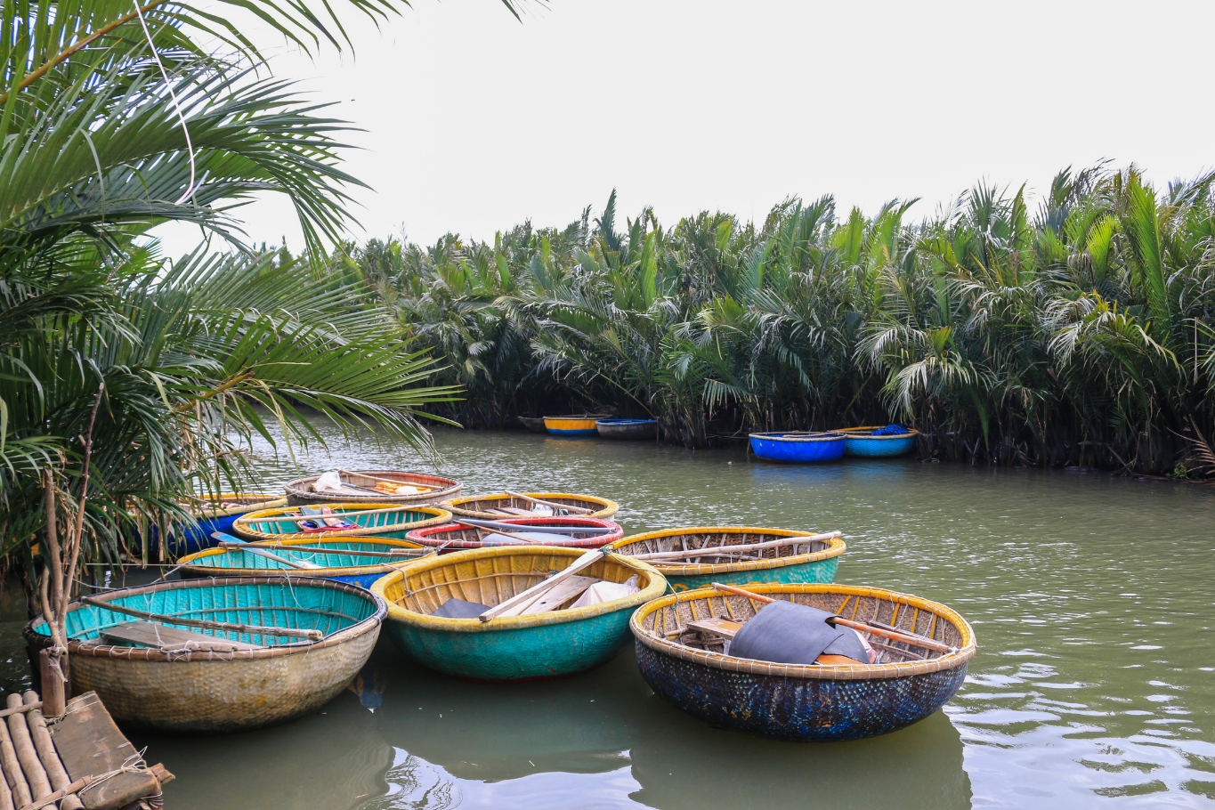 A traditional basket boat experience in Bay Mau Coconut Forest.