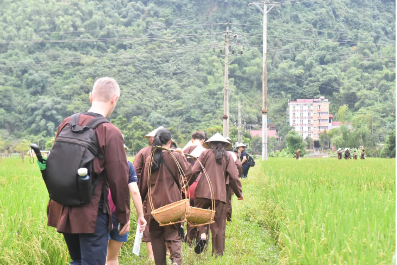 Students taking part in educational travel by experiencing traditional rice farming with local farmers in Mai Chau, Vietnam.