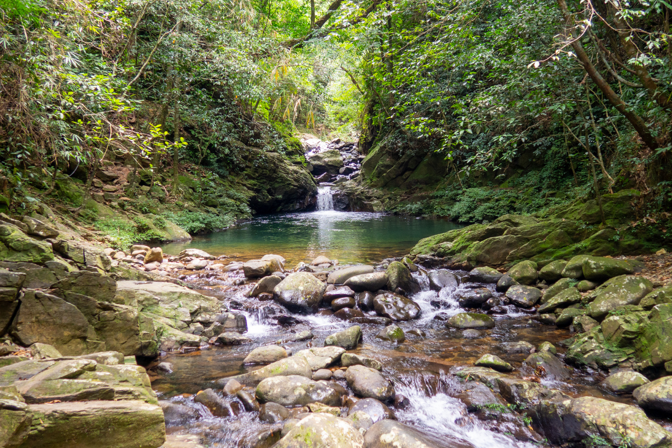 Ngu Ho lakes in Bach Ma National Park for nature lovers