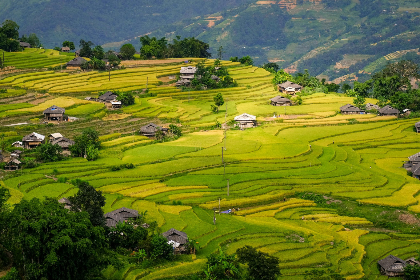 Ha Giang Loop landscapes and villages