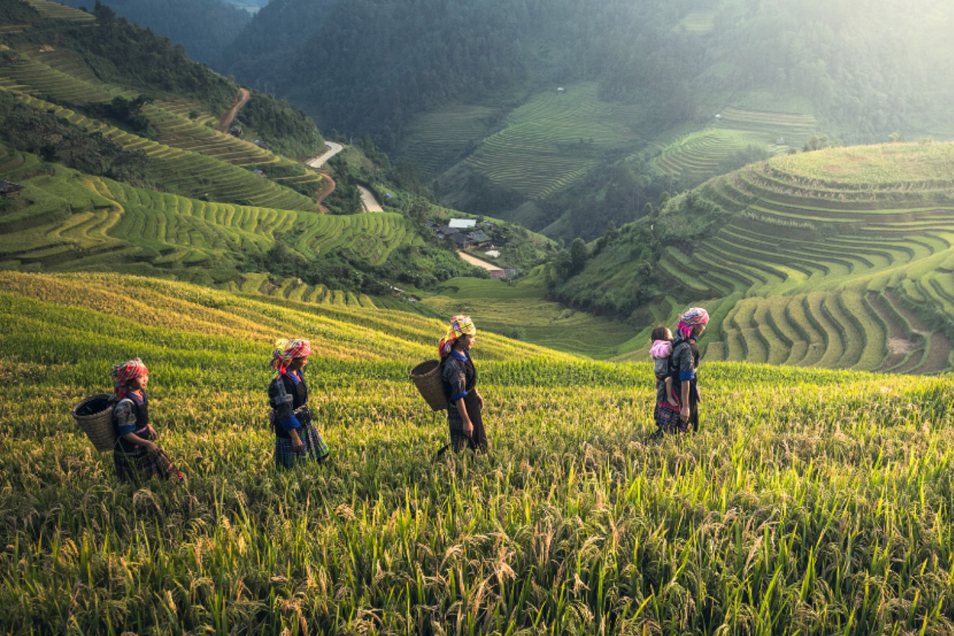 Sapa - Vietnam