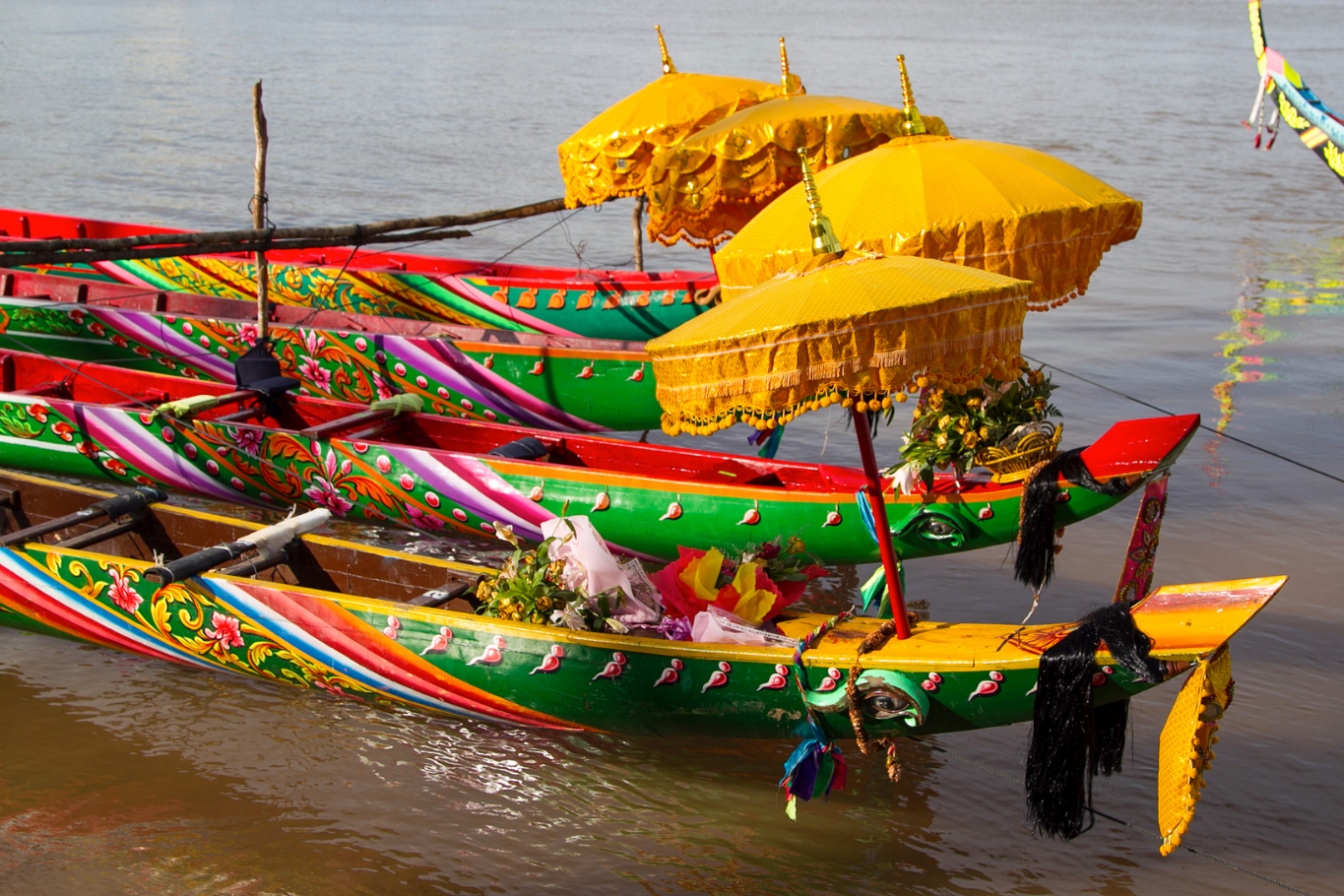 Traditional Ngo boats racing during the Ok Om Bok Moon Festival
