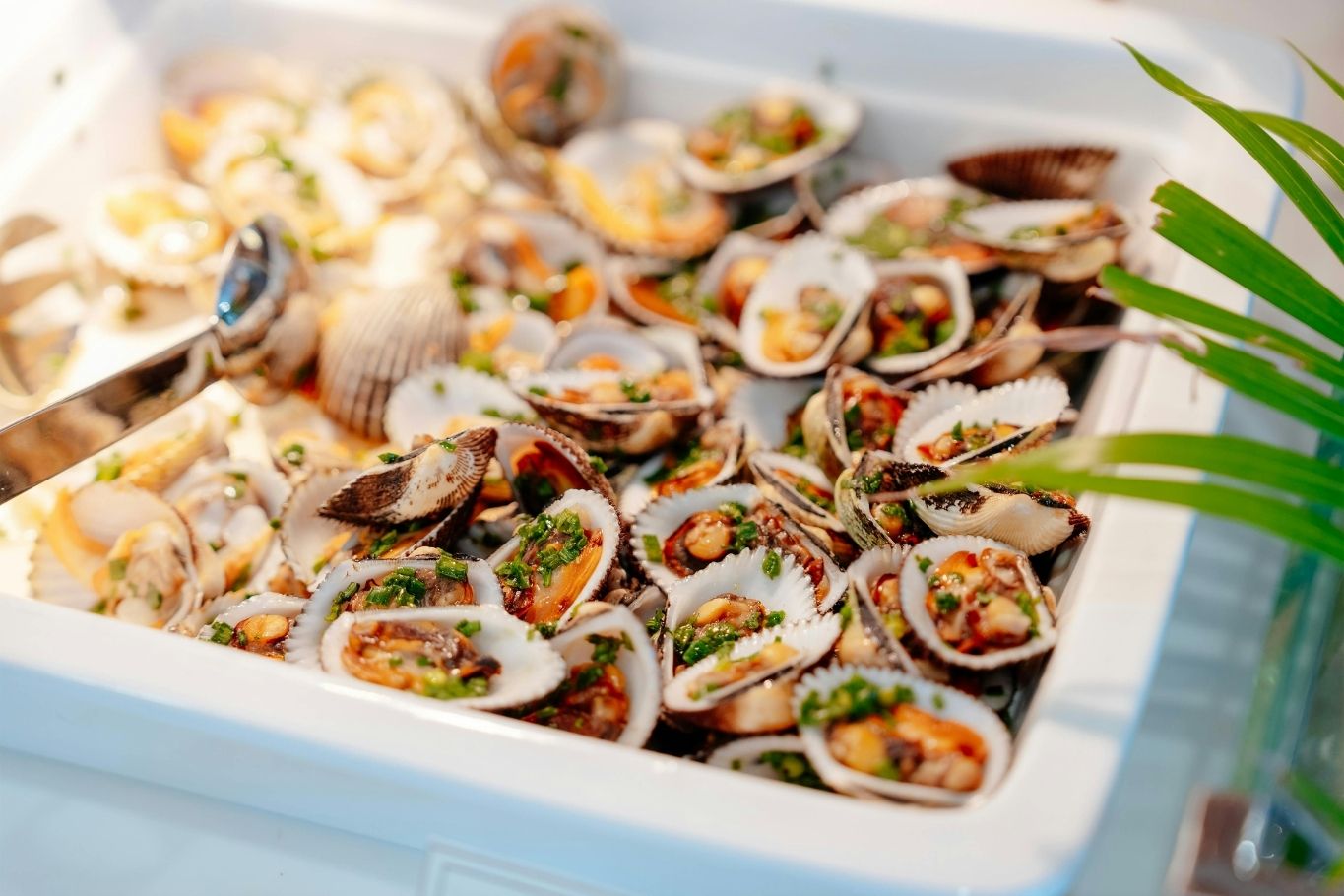 Grilled clams in Nha Trang