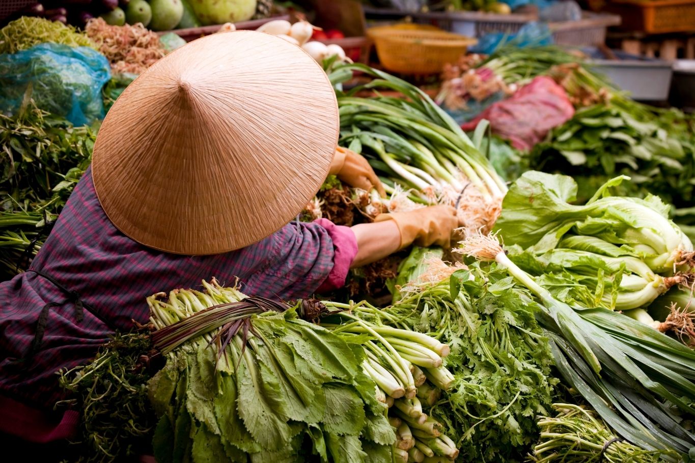 Vietnam local market