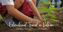 Students planning trees in our educational travel.