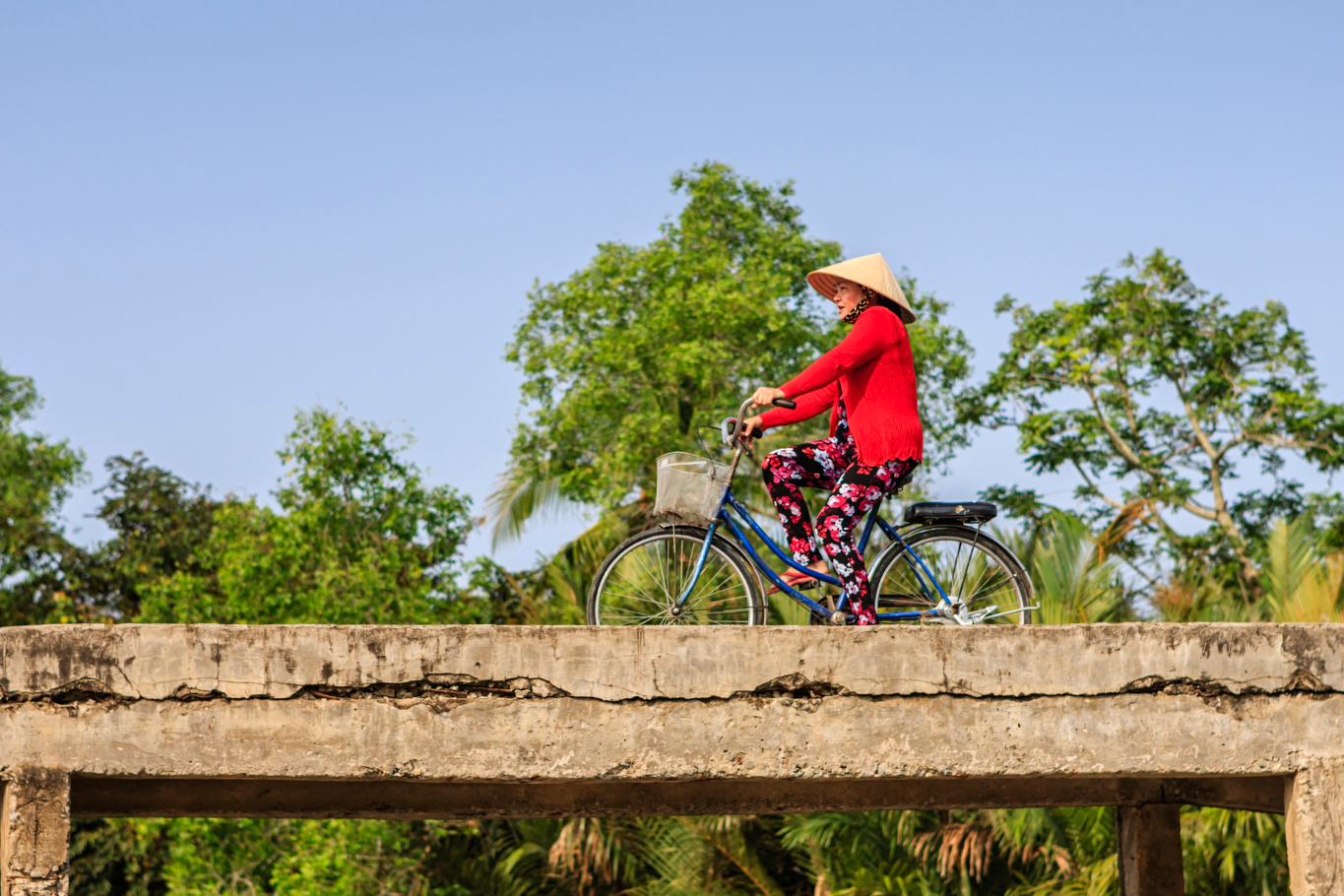 Cycling through quiet countryside villages in the Mekong Delta.