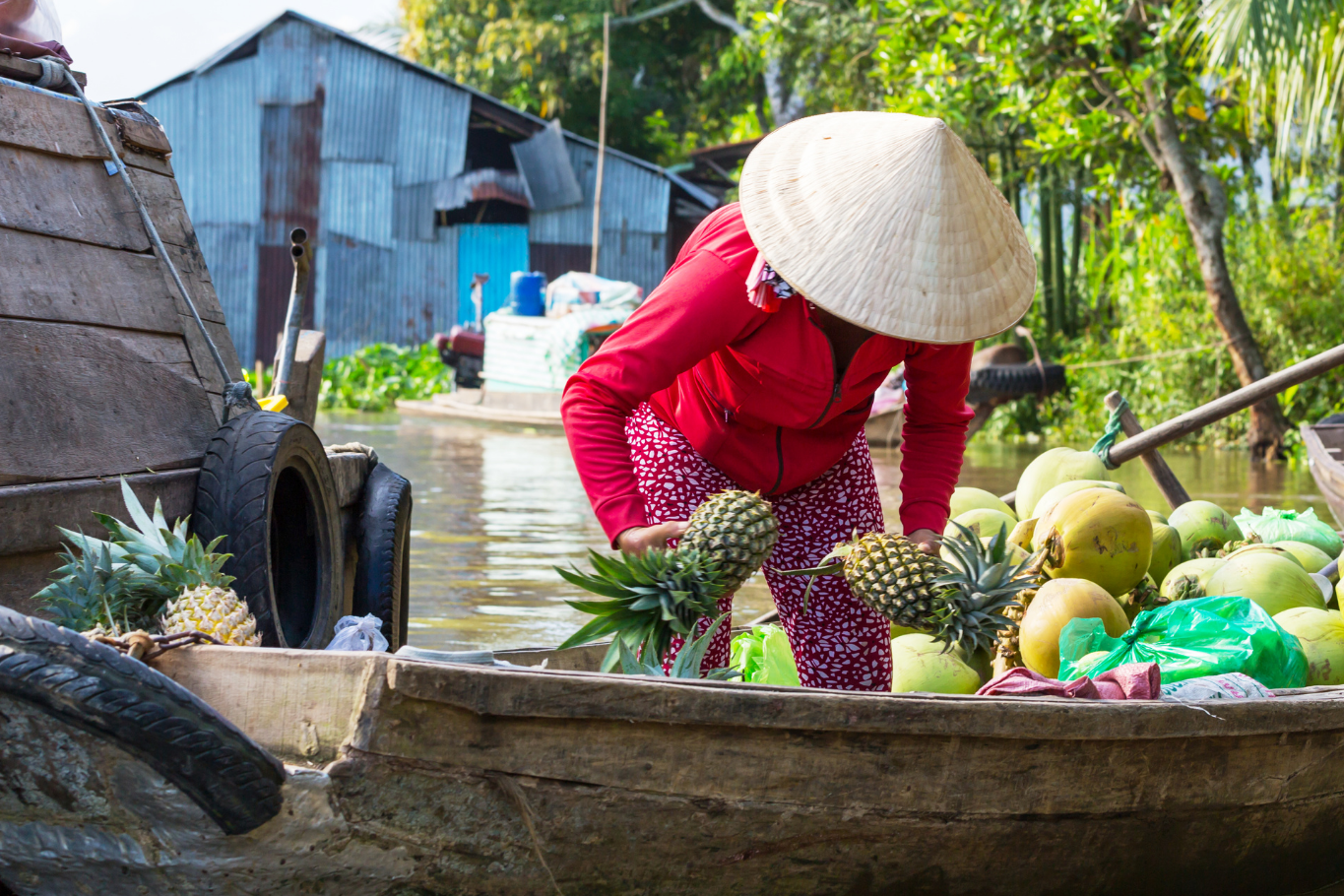 Local fruit vendors and tropical produce in the Mekong Delta.