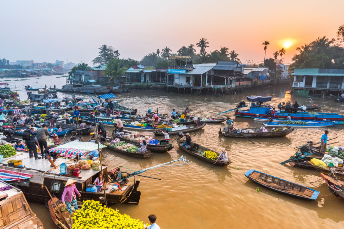 Mekong Delta