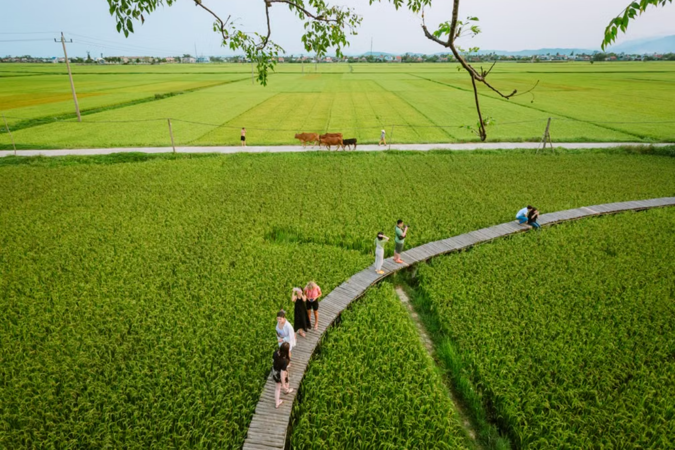 Gentle Walking Experiences in Vietnam countryside