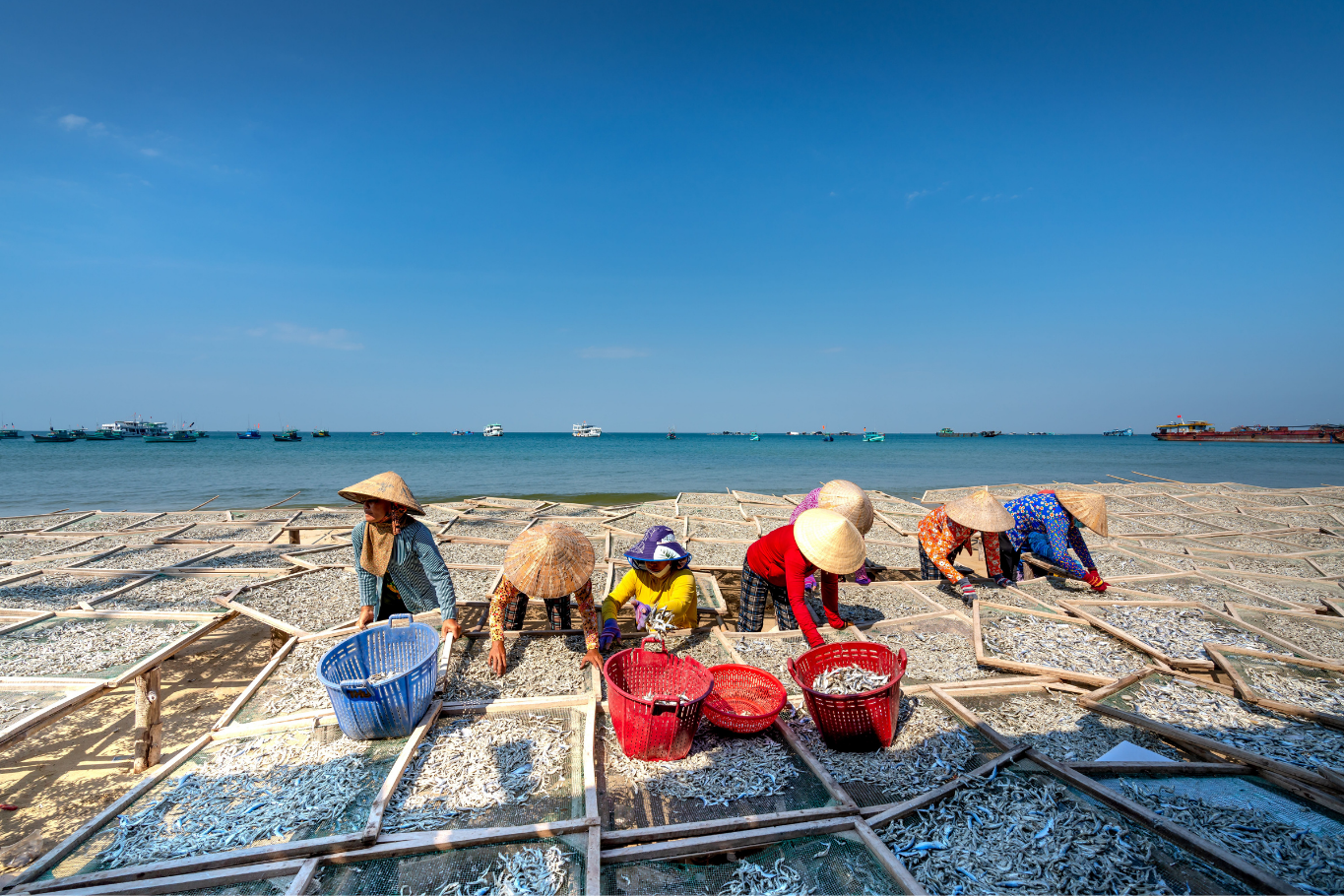 Market-to-Table Experience - Local Fishermen