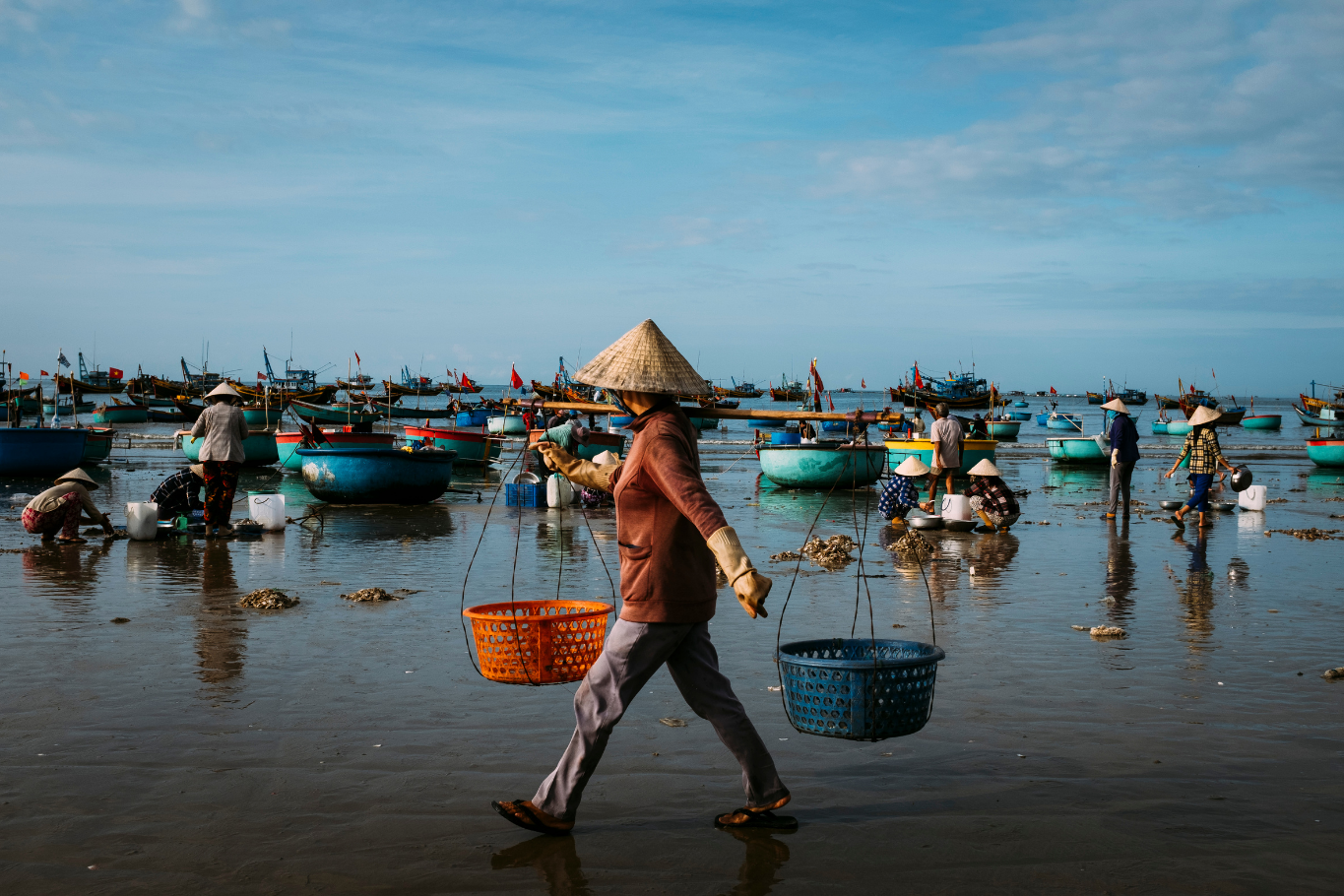 Vietnam Cultural Experiences: Fish market