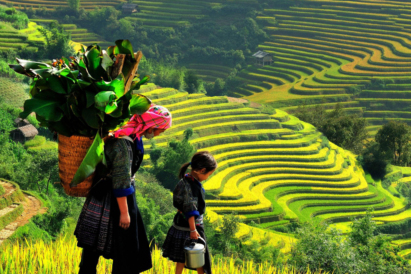 Vietnam Cultural Experiences: Ha Giang