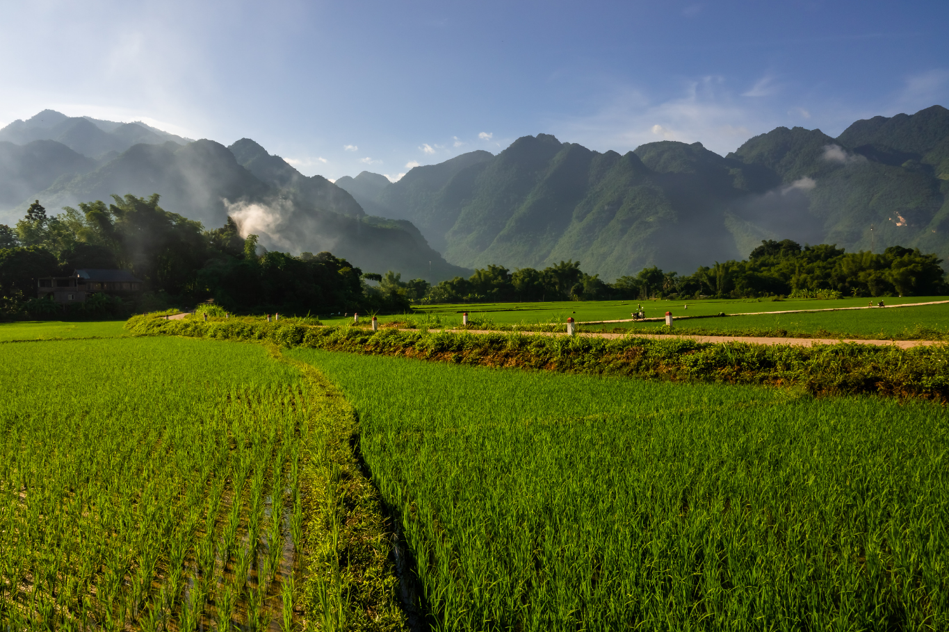 Gentle Walking Experiences in Mai Chau, Vietnam