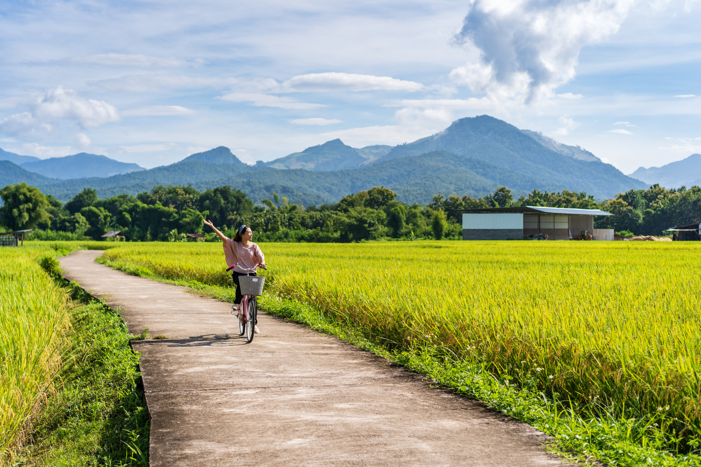 Wellness Exprience in Vietnam 