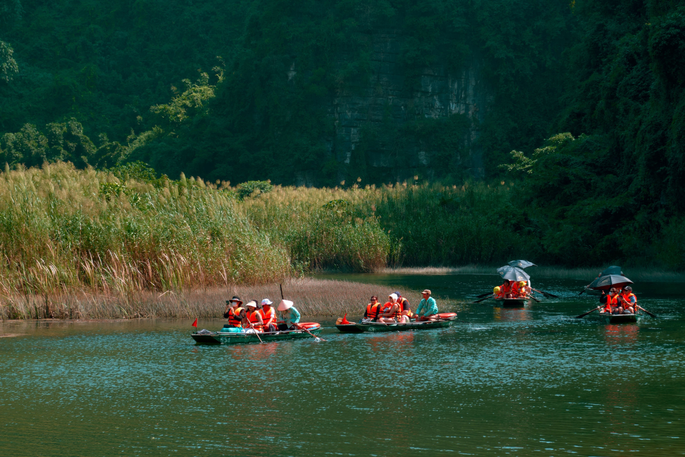 Peaceful sampan boat tours weave gracefully through the breathtaking landscapes of Ninh Binh.