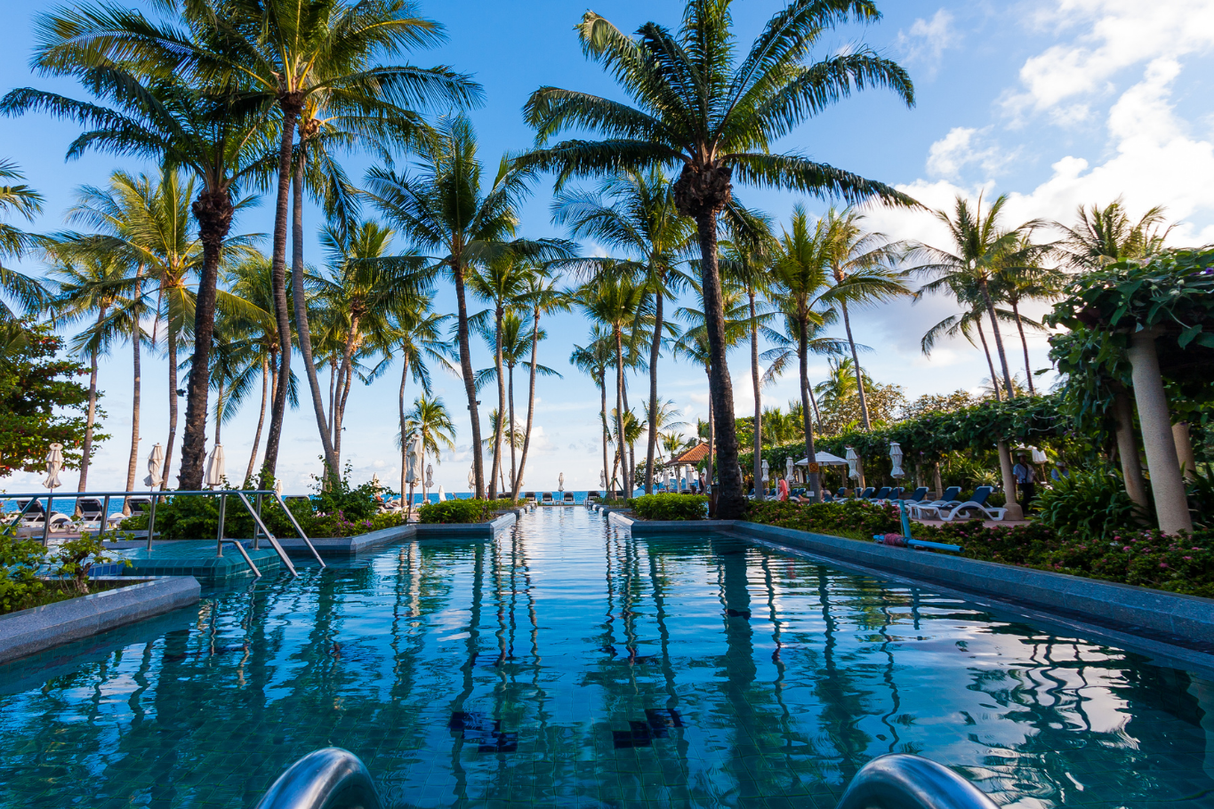 Luxury resort pool surrounded by palm trees in Koh Samui.