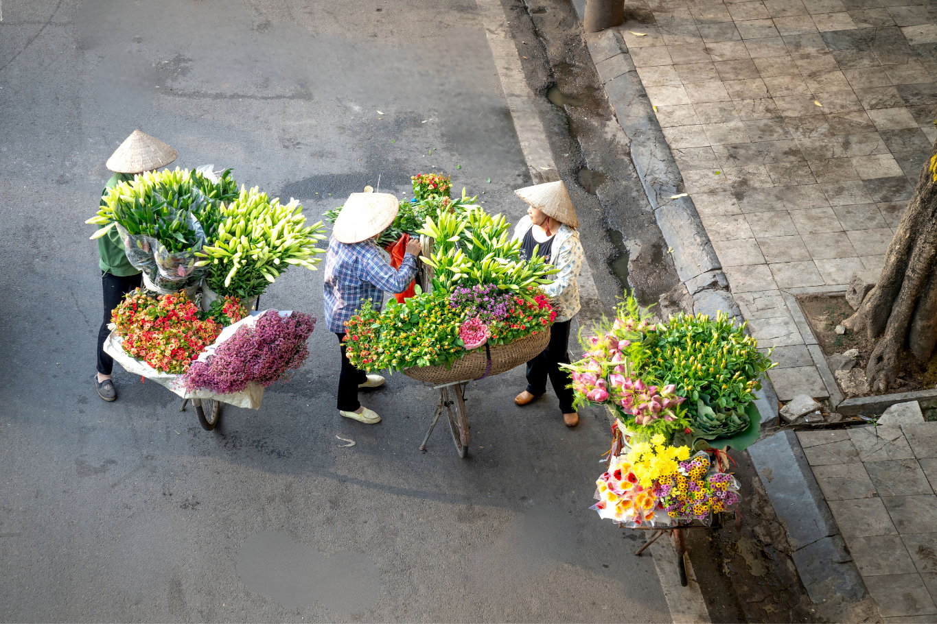 Street vendors selling colorful fresh flowers on bicycles in Hanoi