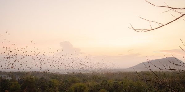 Battambang-–-Battambang-City-highlights