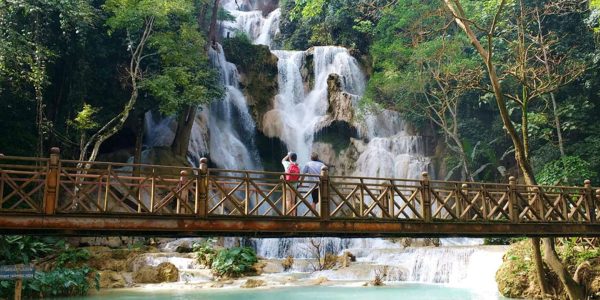 Buffalo-Dairy-Farm-Kuang-Si-Waterfall-and-Street-Eat-by-Night