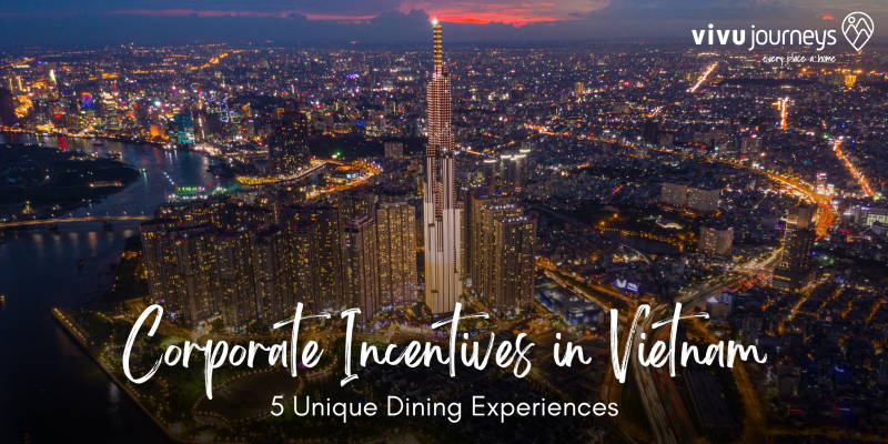 Corporate incentives in VN