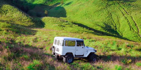 Day-at-the-Farm-Jeep-Tour-in-Terceira