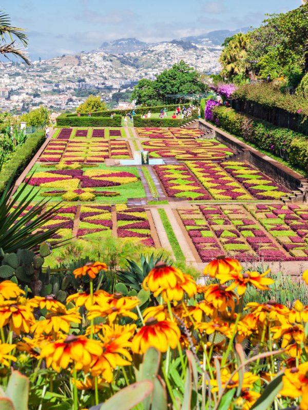Madeira – Pearl of the Atlantic