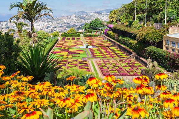 Madeira – Pearl of the Atlantic